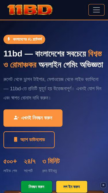 Screenshot of 11bd.xyz