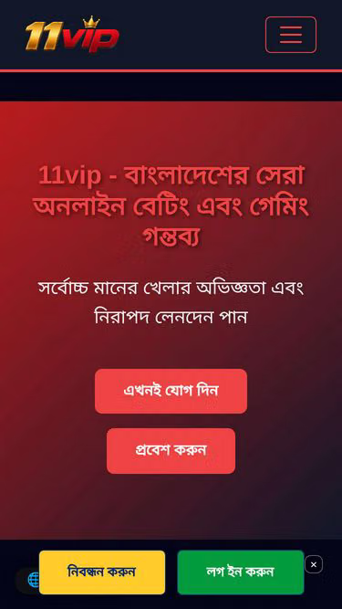 Screenshot of 11vip.vu