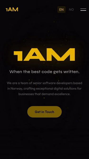 Screenshot of 1am.no