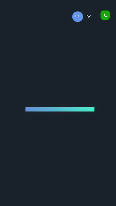 Screenshot of 1fin.uz
