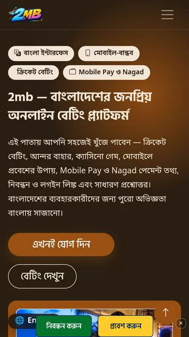 Screenshot of 2mb.app