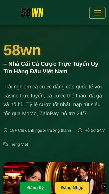 Screenshot of 58wn.lat