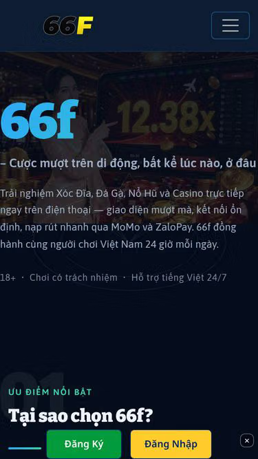 Screenshot of 66f.cam