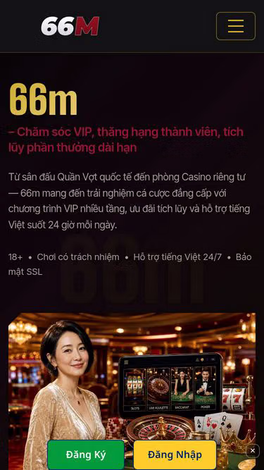 Screenshot of 66m.cam