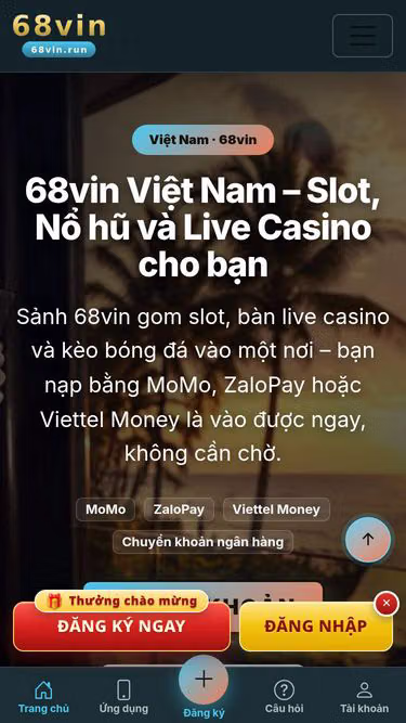 Screenshot of 68vin.run