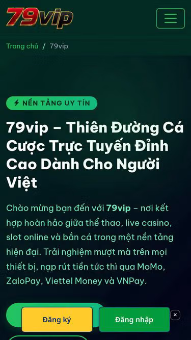 Screenshot of 79vip.bio