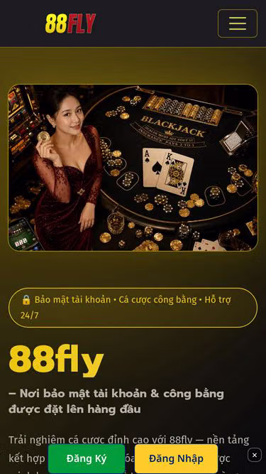 Screenshot of 88fly.lat
