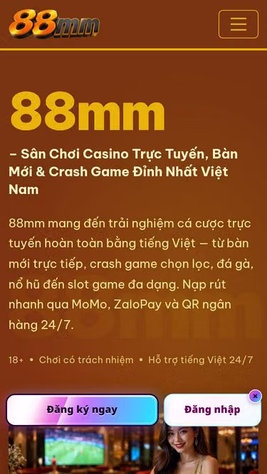 Screenshot of 88mm.biz
