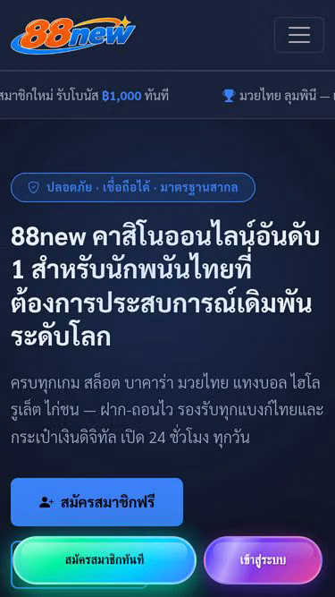 Screenshot of 88new.click