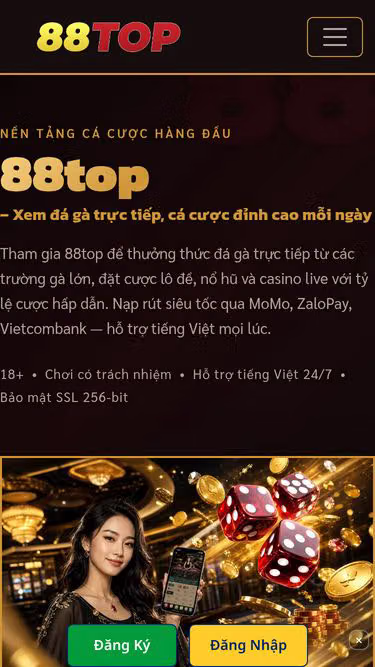 Screenshot of 88top.bar