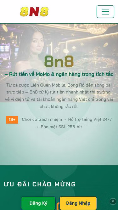 Screenshot of 8n8.cam
