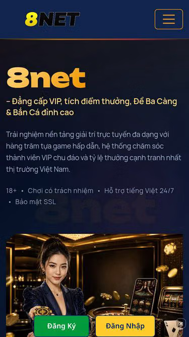 Screenshot of 8net.bar