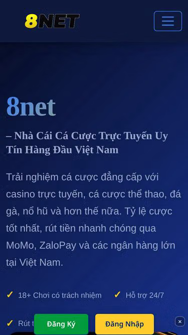Screenshot of 8net.lat