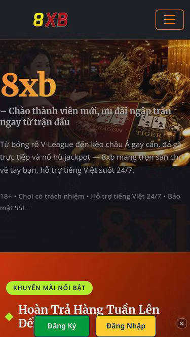 Screenshot of 8xb.cam