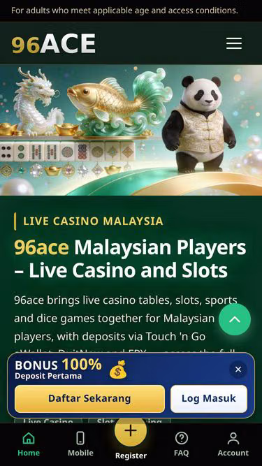 Screenshot of 96ace.one