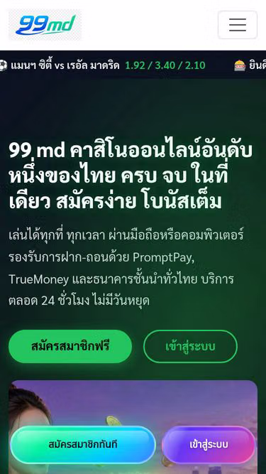 Screenshot of 99md.biz
