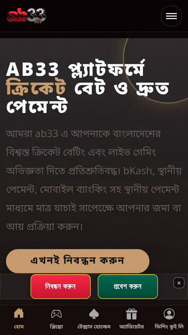 Screenshot of ab33.bid