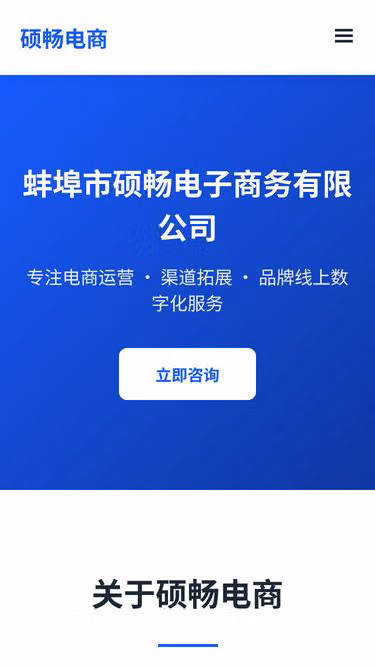 Screenshot of abts.cn