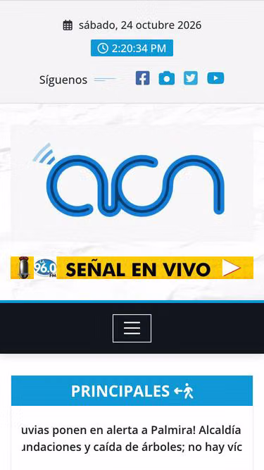 Screenshot of acn.com.co