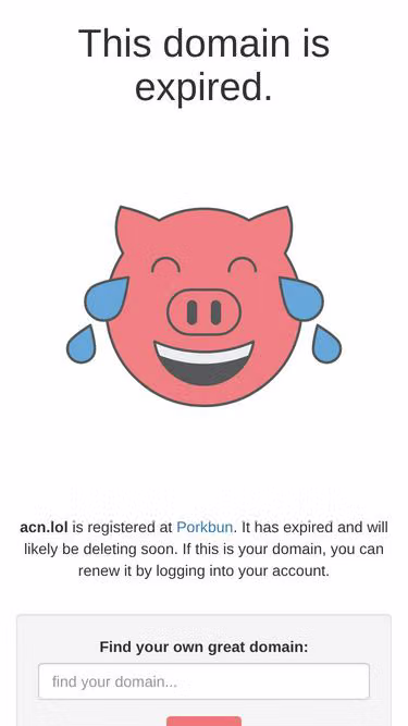 Screenshot of acn.lol