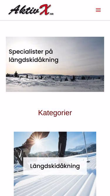 Screenshot of activex.se