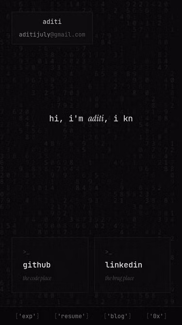 Screenshot of aditi.sh