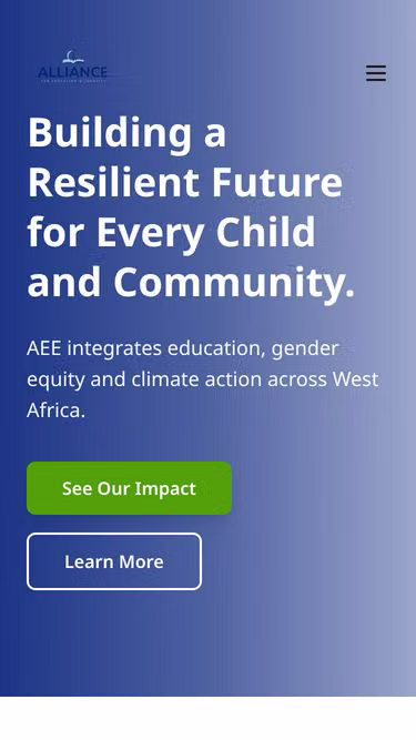 Screenshot of aee.ngo