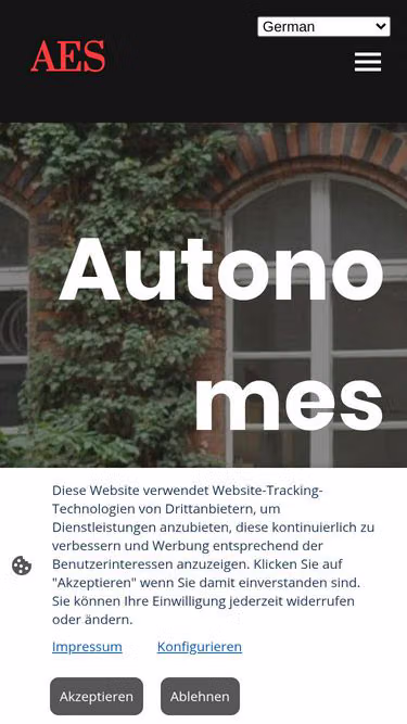 Screenshot of aes.berlin