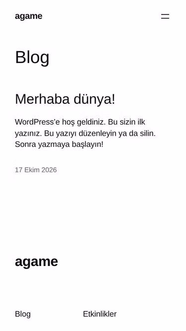 Screenshot of agame.tr