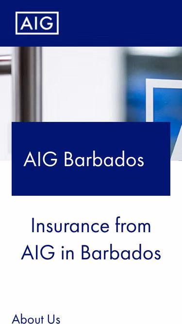 Screenshot of aig.bb