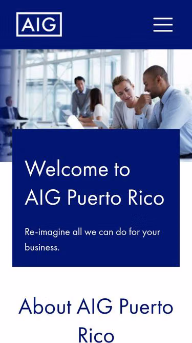 Screenshot of aig.com.pr