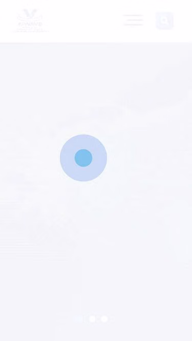 Screenshot of aiwave.co.za