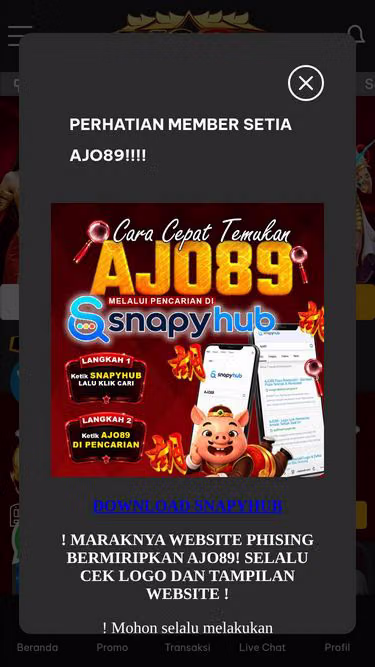 Screenshot of ajo89.com