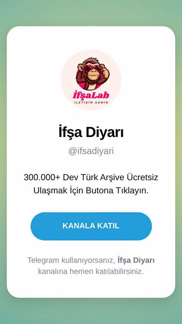 Screenshot of alaturka.live