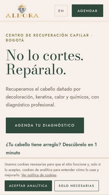 Screenshot of aldora.com.co