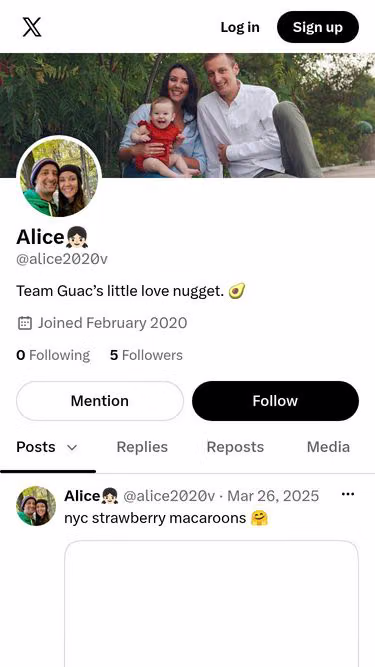 Screenshot of alice.today