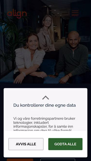 Screenshot of alignconsulting.dk