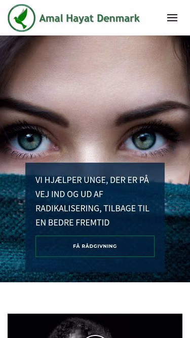 Screenshot of amal.dk