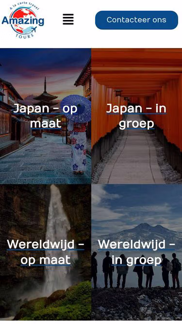Screenshot of amazingtours.be