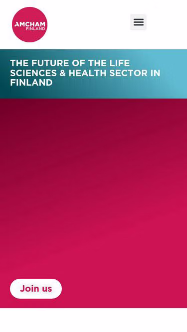 Screenshot of amcham.fi