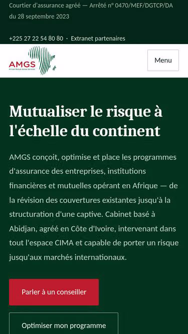Screenshot of amgs.africa