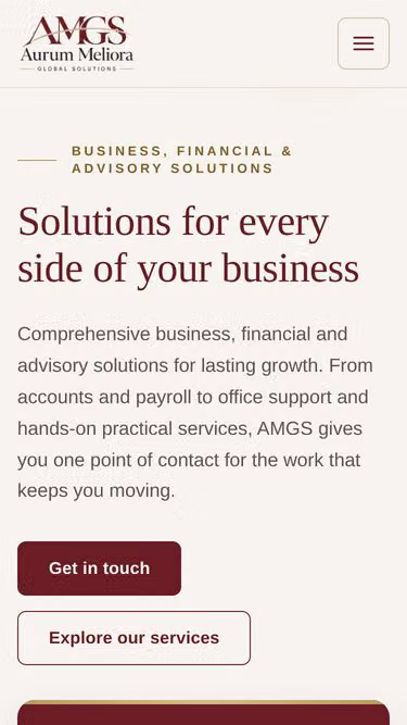 Screenshot of amgs.ie