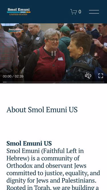Screenshot of amida.org