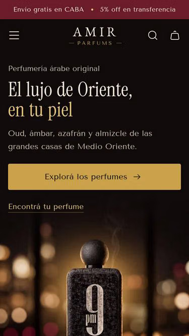 Screenshot of amir.com.ar