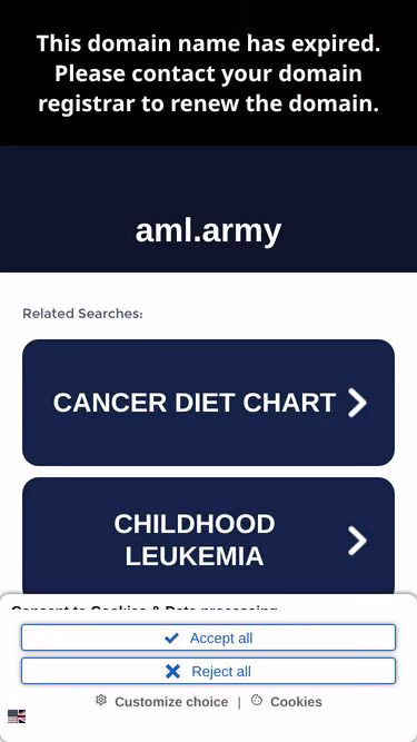Screenshot of aml.army