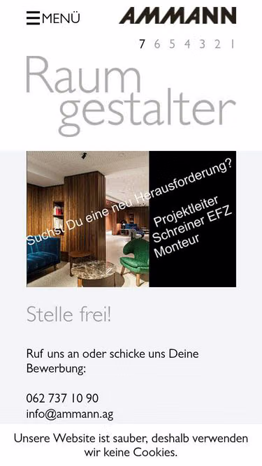 Screenshot of ammann.swiss
