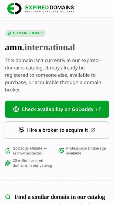 Screenshot of amn.international