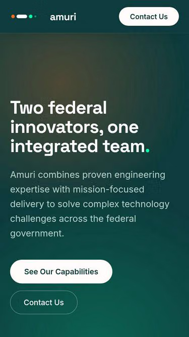 Screenshot of amuri.io