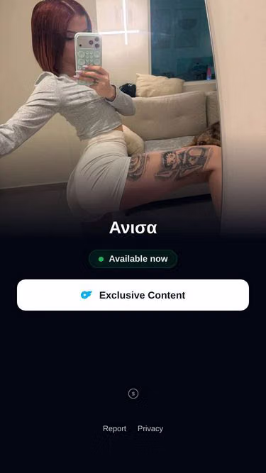 Screenshot of anisa.bio