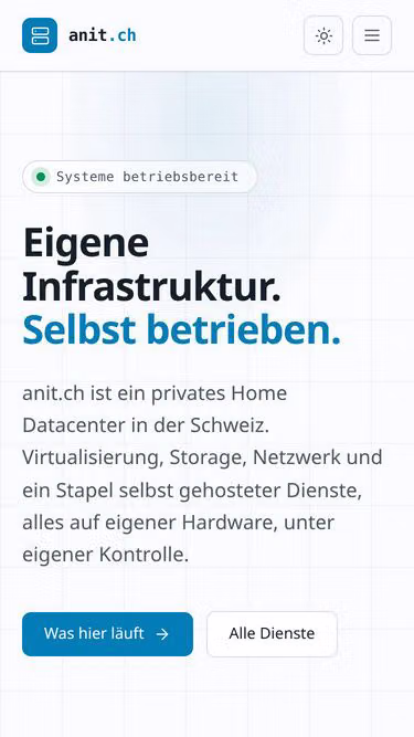 Screenshot of anit.ch